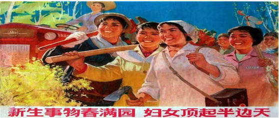 图片 3