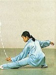 二十四式太极拳动作详解 - 高山流水 - 金驰科技