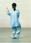 二十四式太极拳动作详解 - 高山流水 - 金驰科技
